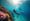 What You Need to Know About Maldives Snorkeling Adventures