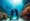 Essential Practices for Maldives Scuba Diving Adventures