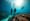 Essential Diving Maldives Tips for Honeymooning Couples