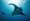 Discover Manta Fish: A Romantic Encounter in the Maldives