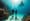 Why Maldives Diving is the Ultimate Honeymoon Adventure